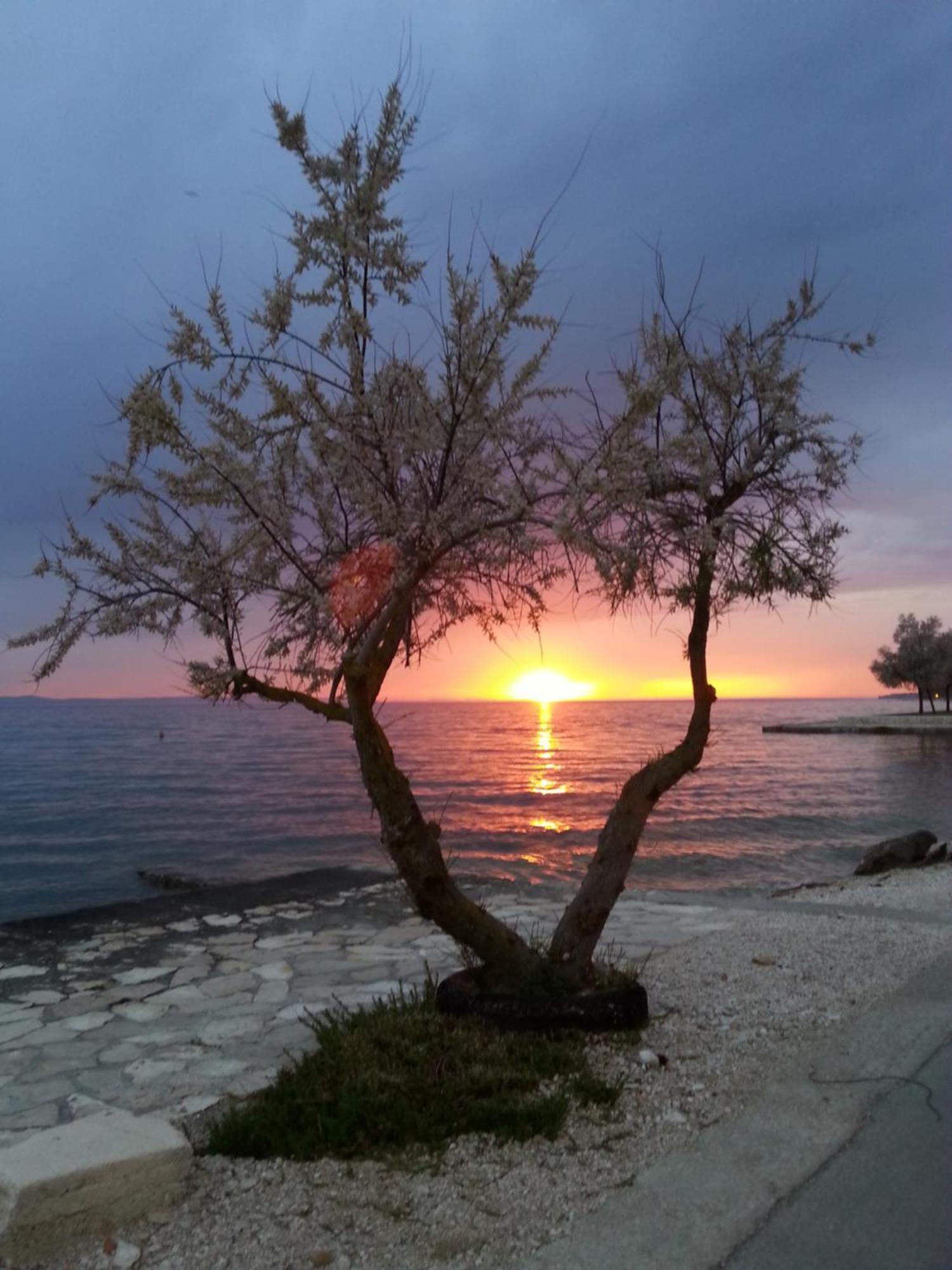 Apartmani Basioli Zadar Zewnętrze zdjęcie